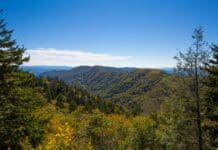 Newfound Gap Webcam Newfound Gap