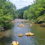 Townsend Little River Tubing Rentals River Rat Smoky Mountains Wye
