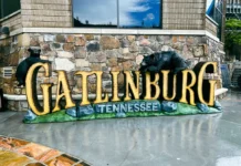 Gatlinburg Tour of the Town: Explore the Heart of the Smokies in Style Gatlinburg Tours Bears Smoky Mountains Jeep Downtown Sign