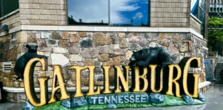 Gatlinburg Tour of the Town Gatlinburg Tours Bears Smoky Mountains Jeep Downtown Sign