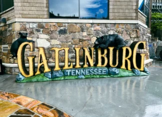 Gatlinburg Tour of the Town: Explore the Heart of the Smokies in Style Gatlinburg Tours Bears Smoky Mountains Jeep Downtown Sign