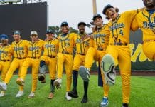 Savannah Bananas Are Coming to Knoxville (Twice!) in 2026 — Plus Memphis & Nashville Dates 🎉